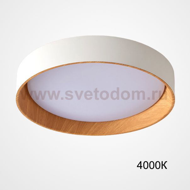 Потолочный светильник WENNY D55 4000К ImperiumLoft 223984-23