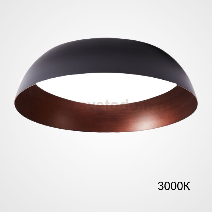 Потолочный светильник BARBO D40 3000К ImperiumLoft 223986-23