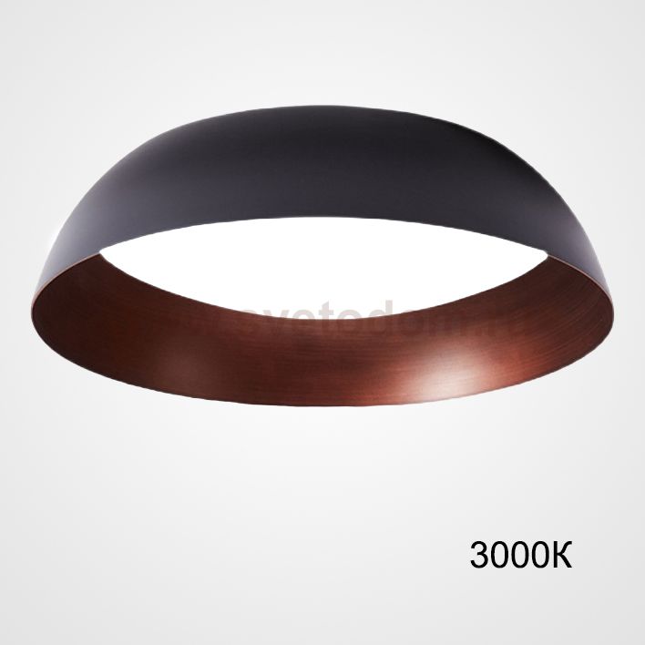 Потолочный светильник BARBO D55 3000К ImperiumLoft 223988-23