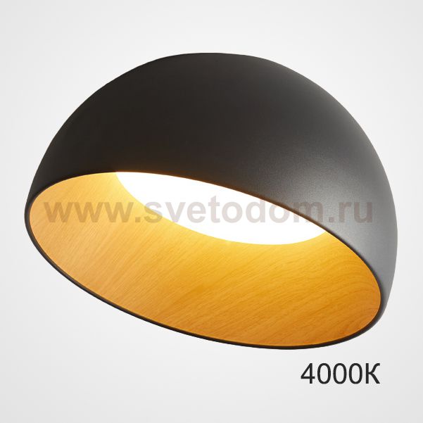 Потолочный светильник BARA A D50 Black 4000К ImperiumLoft 223994-23