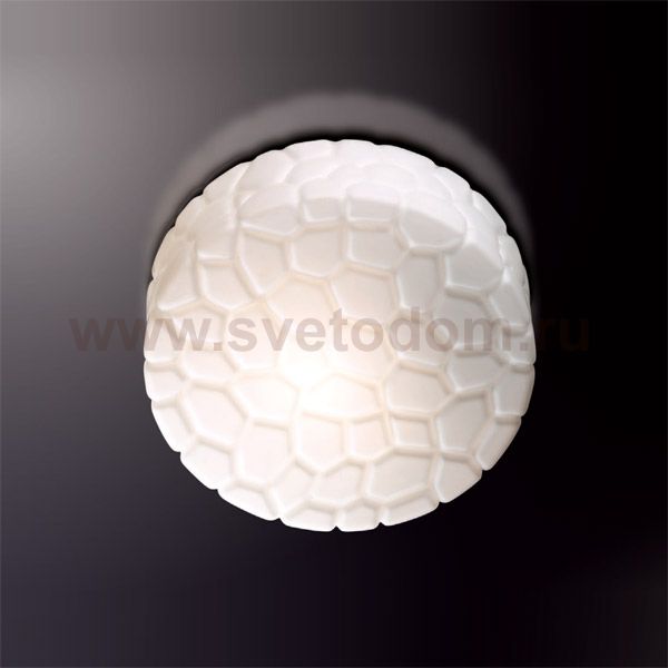 Светильник настенно-потолочный Odeon light 2246/1C LUNO