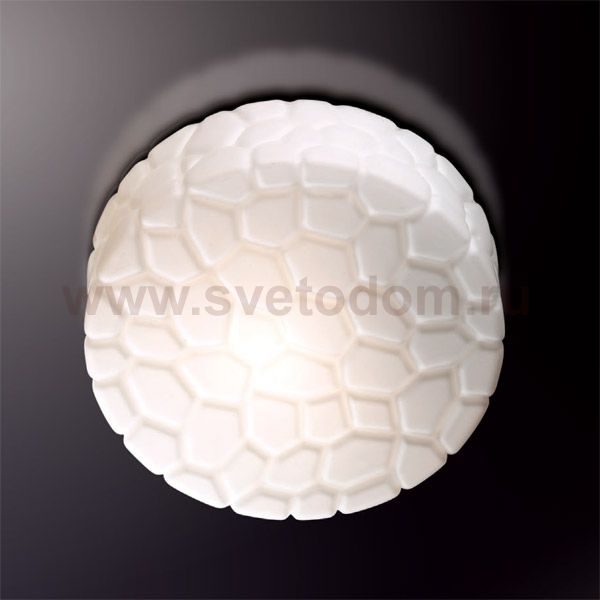 Светильник настенно-потолочный Odeon light 2246/2A LUNO