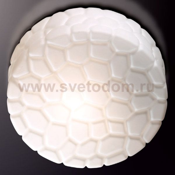 Светильник настенно-потолочный Odeon light 2246/2C LUNO