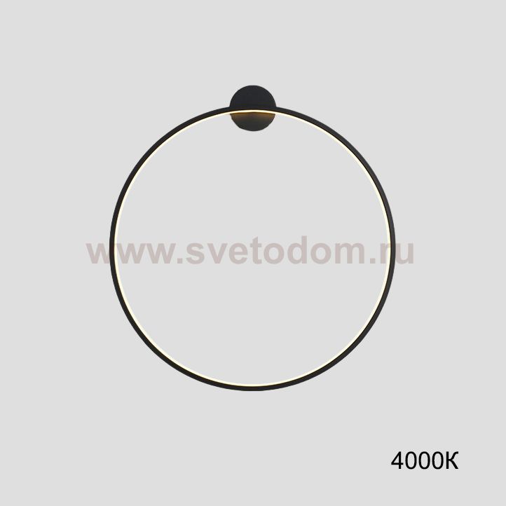 Настенный светильник GUARD B D50 4000К ImperiumLoft 226505-23