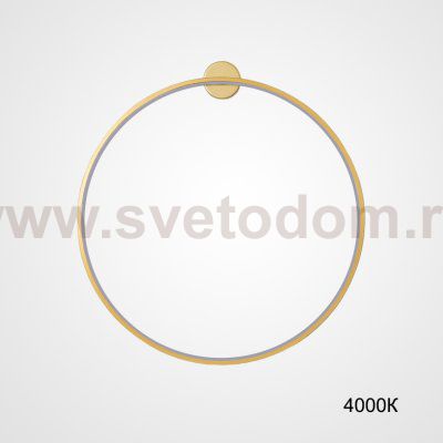 Настенный светильник GUARD B D60 Brass 4000К ImperiumLoft 226539-23