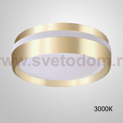 Потолочный светильник FAM 3000К ImperiumLoft 228537-23