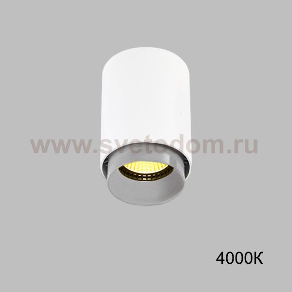 Точечный светильник RESTON White Grey 4000К ImperiumLoft 228564-23