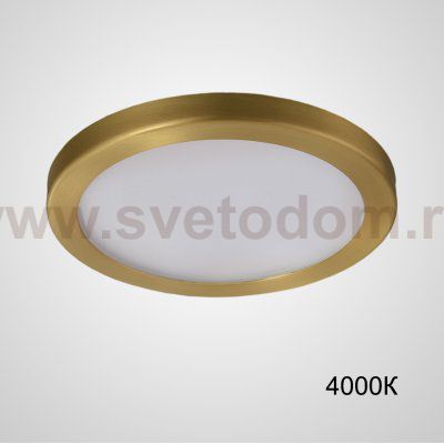 Точечный светодиодный светильник HEIN D10 Brass 4000К ImperiumLoft 229205-23