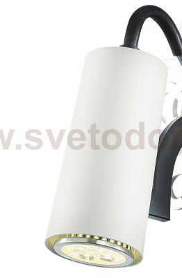 Настенный светильник Favourite 2301-1W Fabia