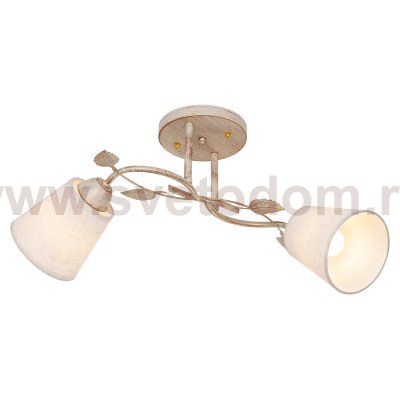 Потолочный светильник Экономсвет 2304YX/2YG BEG