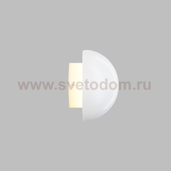 Настенный светильник TOOL White ImperiumLoft 230849-23