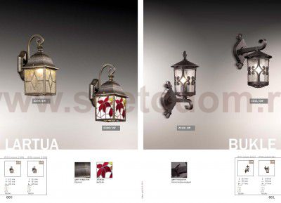 Уличный настенный светильник Odeon light 2309/1W LARTUA