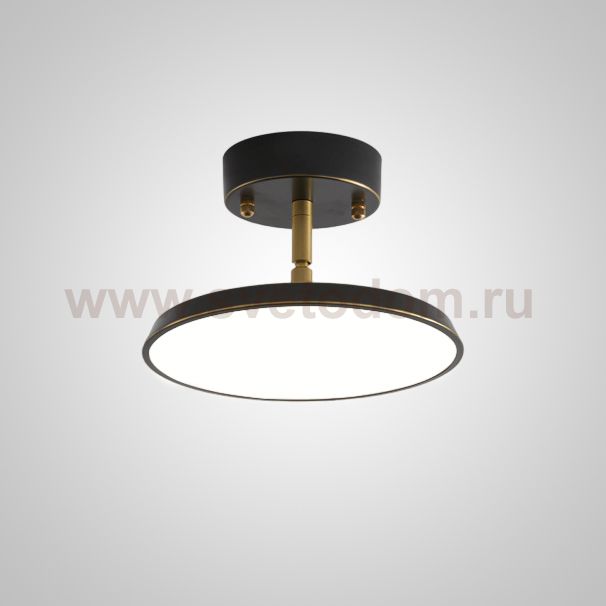 Потолочный светильник BIRK D12 Black ImperiumLoft 231059-23