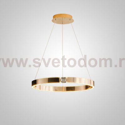 Подвесная люстра SELLIF RING D40 Brass ImperiumLoft 231754-23