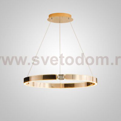 Подвесная люстра SELLIF RING D60 Brass ImperiumLoft 231756-23