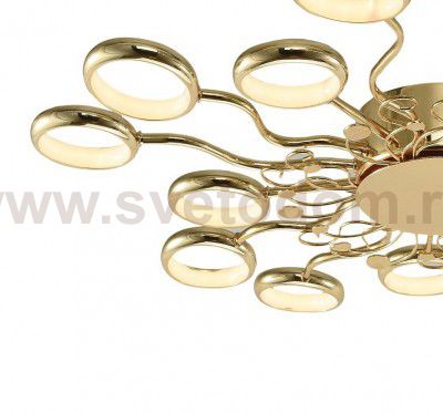 Потолочный светильник Favourite 2321-15C Dominium