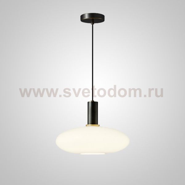 Подвесной светильник IRIS WHITE B Black ImperiumLoft 232252-23