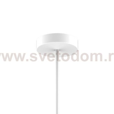 Люстра подвесная Favourite 2323-12P Duplex