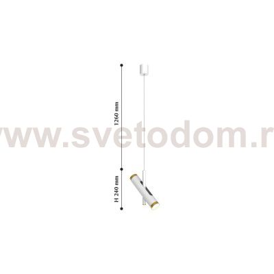 Люстра подвесная Favourite 2323-2P Duplex