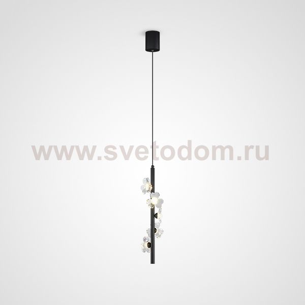 Подвесной светильник CAMILIA BW L5 Black ImperiumLoft 232393-23