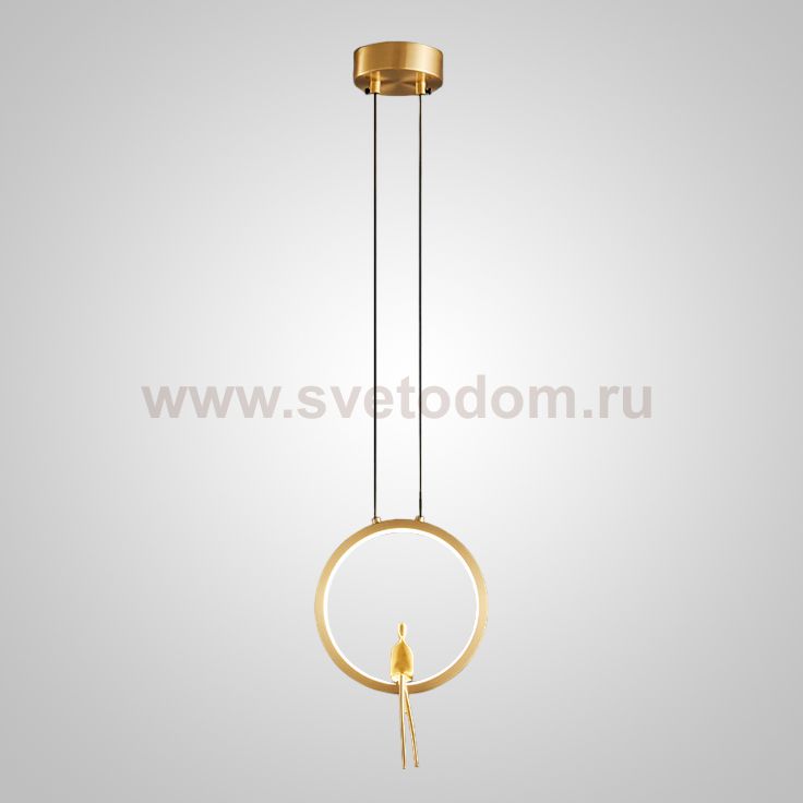 Подвесной светильник REMUS ONE Brass ImperiumLoft 233016-23