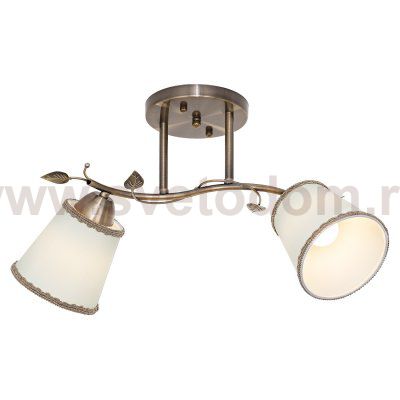 Потолочный светильник Экономсвет 2350/2AB BGE