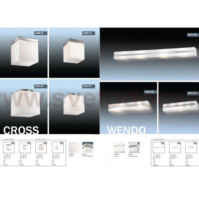 Светильник настенно-потолочный Odeon light 2404/2W WENDO