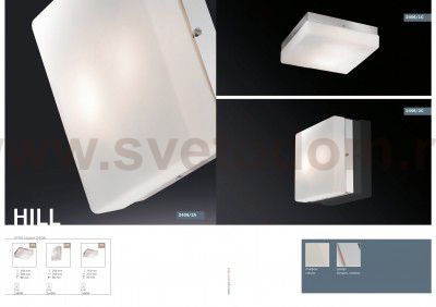 Светильник настенно-потолочный Odeon light 2406/2C HILL