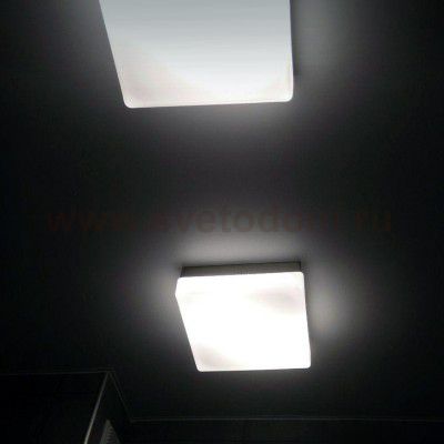 Светильник настенно-потолочный Odeon light 2406/2C HILL