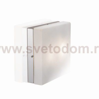 Светильник настенно-потолочный Odeon light 2406/2C HILL