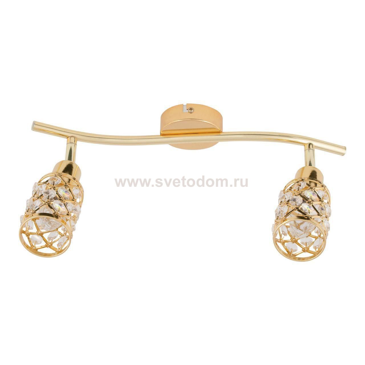 Спот Spot Light Elena 2409211