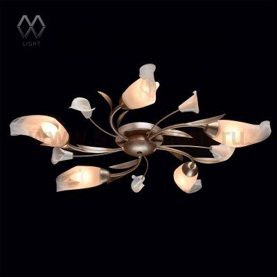 Люстра Mw light 242016205 Восторг
