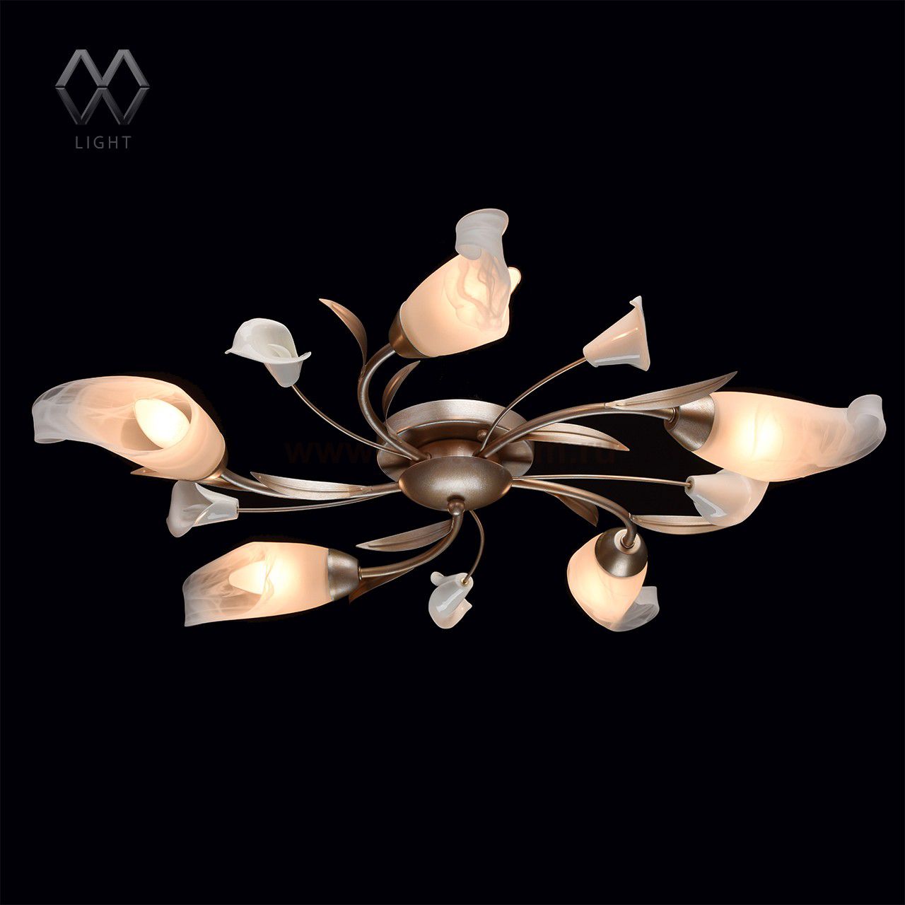 Люстра Mw light 242016205 Восторг