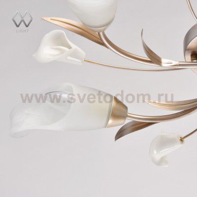 Люстра Mw light 242016205 Восторг