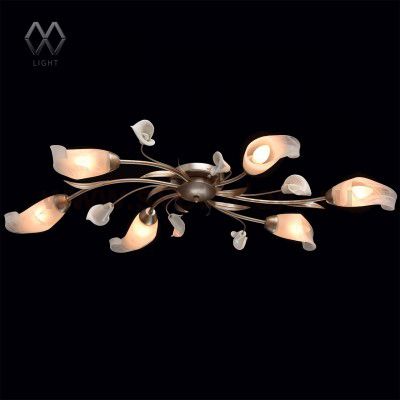 Люстра потолочная Mw light 242016306 Восторг