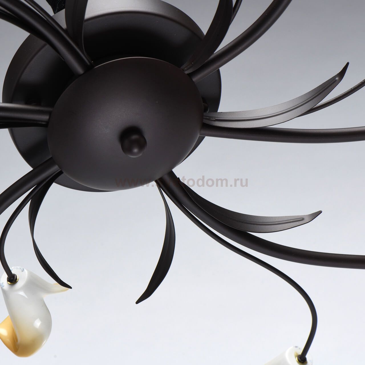 Светильник Mw light 242017006 Восторг