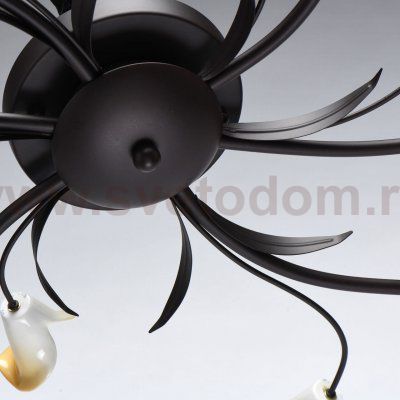 Светильник Mw light 242017006 Восторг