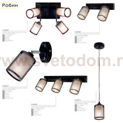 Светильник настенно-потолочный Citilux CL535521 Робин