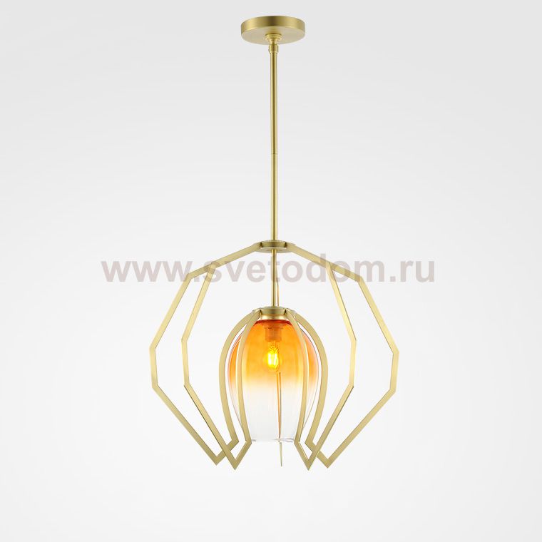 Подвесной светильник Vise D60 ImperiumLoft 242811-26