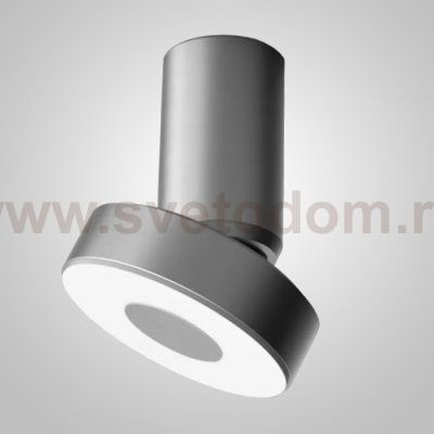 Потолочный точечный светильник STIR Silver ImperiumLoft 243338-26