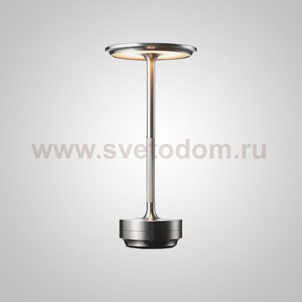 Настольная лампа ROBBI Silver ImperiumLoft 243479-22