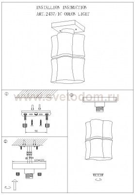 Потолочный светильник Odeon light 2437/1C ATIR
