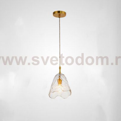 Подвесной светильник CAMPANULE D20,5 Transparent ImperiumLoft 243767-26