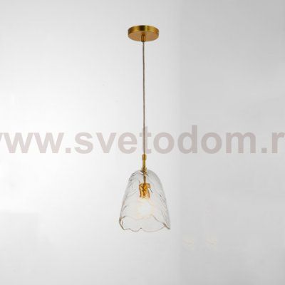 Подвесной светильник CAMPANULE D21,5 Transparent ImperiumLoft 243768-26