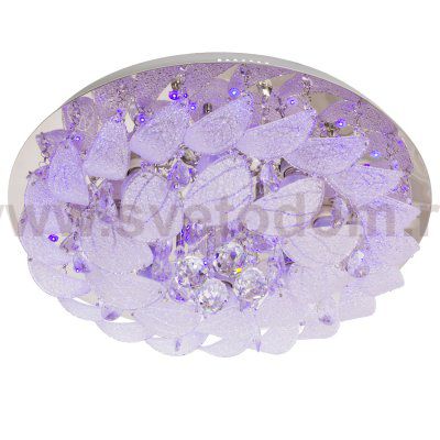 Потолочный светильник Экономсвет 2440/8+2CR RC RBPLED