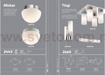 Светильник потолочный Odeon light 2443/1A MINKAR