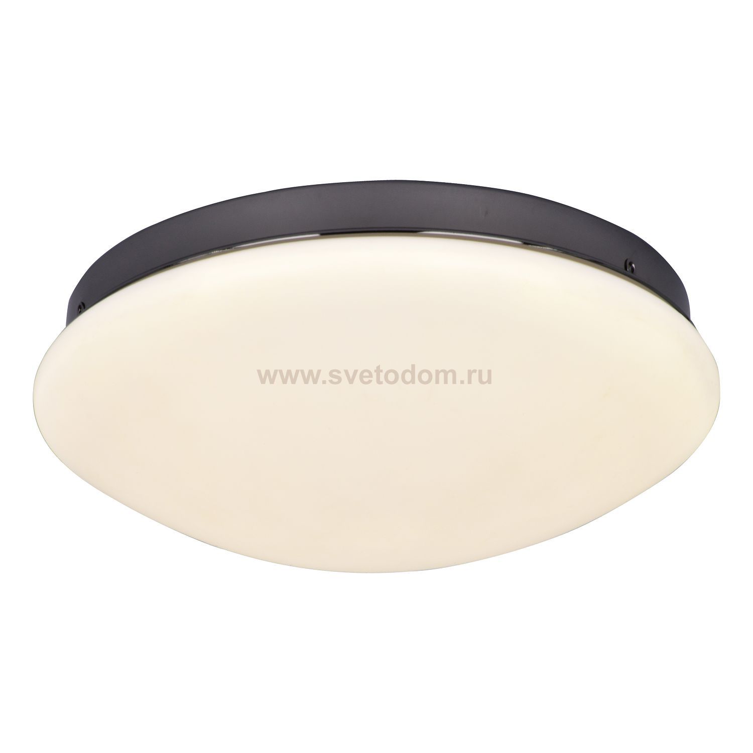 Потолочный светильник Favourite 2468-2C Ledante