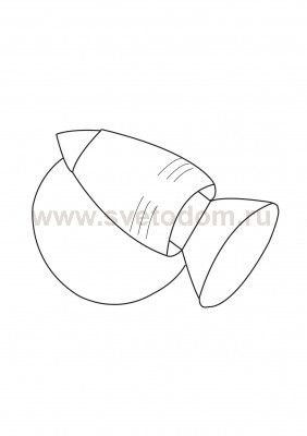 Светильник поворотный спот Eglo 24724 MAGNUM