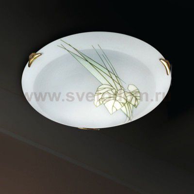 Светильник Сонекс 248 золото List