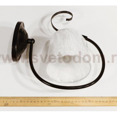 Светильник настенный бра Lumion 3077/1W IBBI